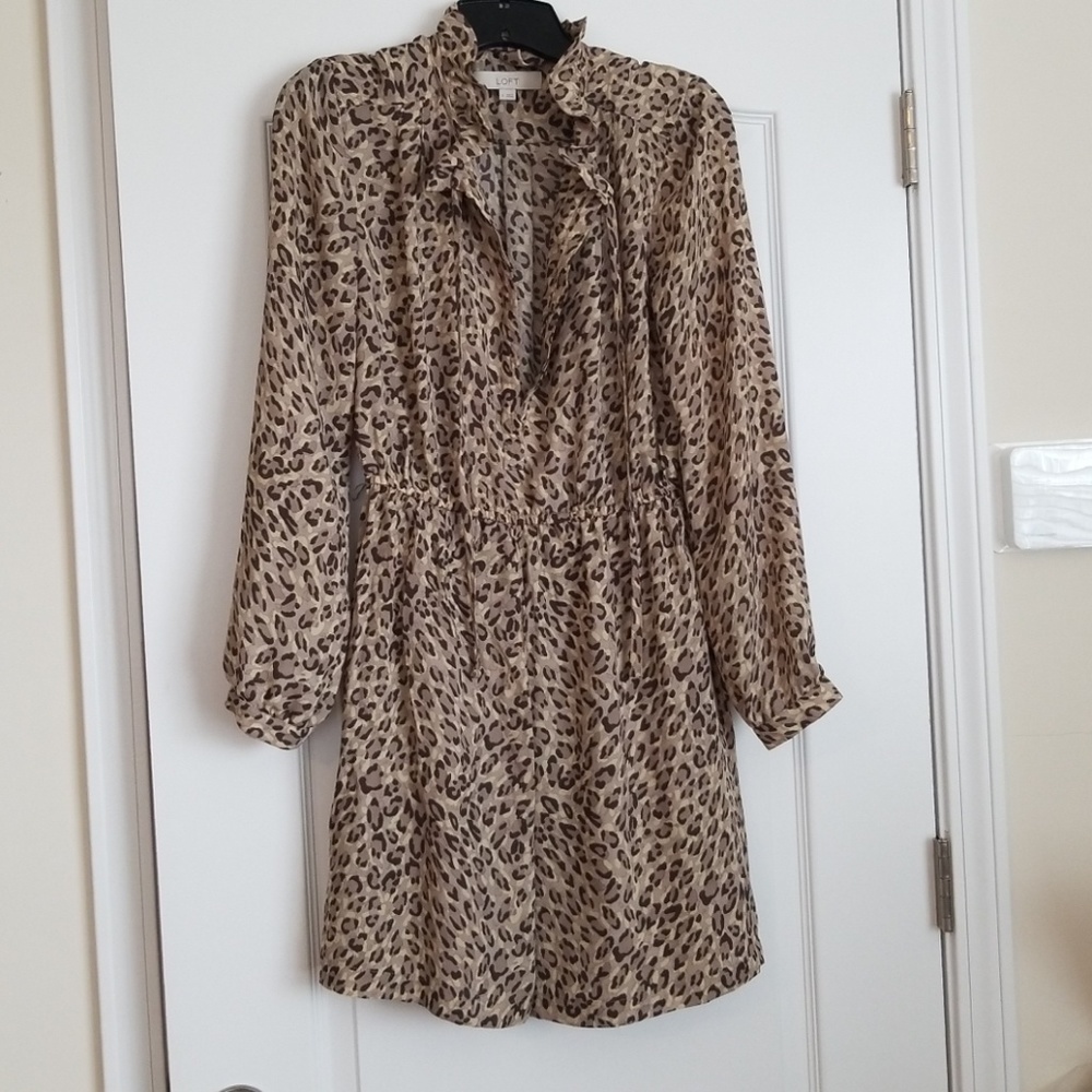 Loft dress